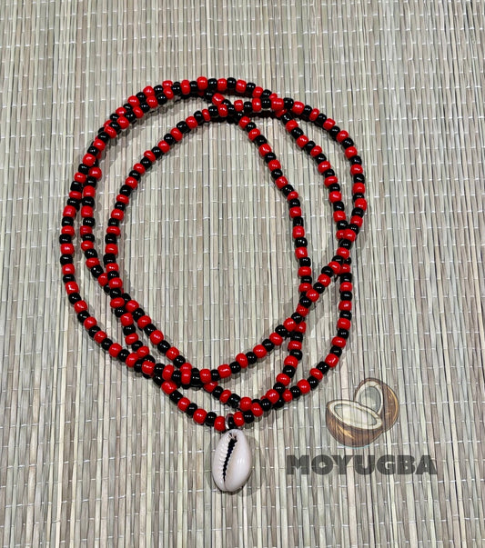 COWRIE SHELL Elegua - Necklaces/Elekes/Collares