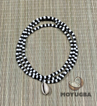 COWRIE SHELL Elegua - Necklaces/Elekes/Collares
