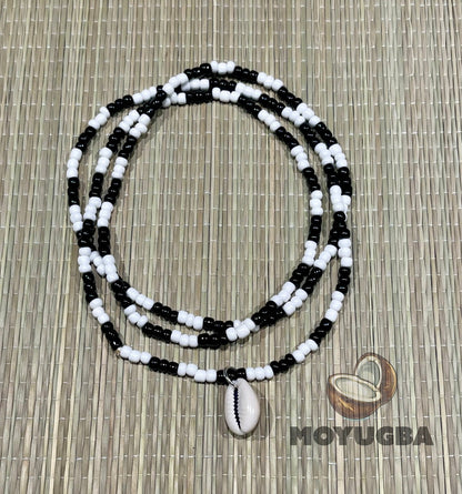 COWRIE SHELL Elegua - Necklaces/Elekes/Collares