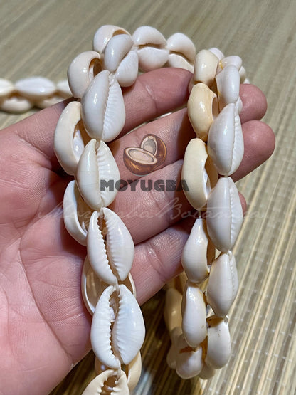 Aje/Iroko - HANDMADE Double Cowrie Shell Necklace/Collar