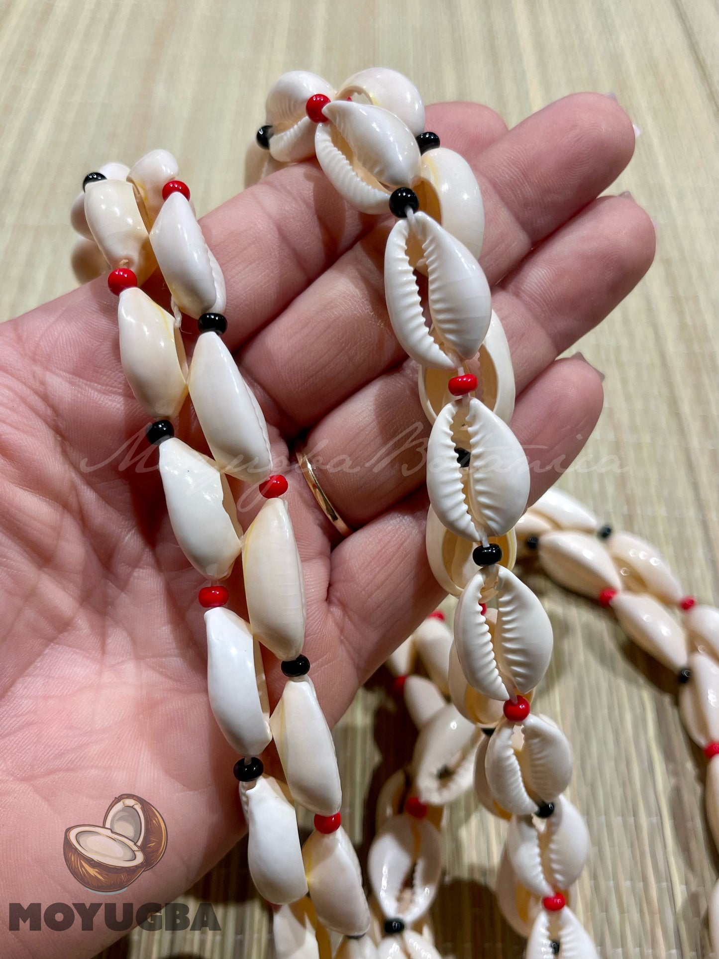 Eleggua Cowrie Shell Necklace/Collar - Santeria/Yoruba