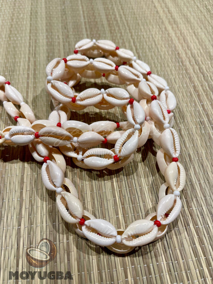 Shango Cowrie Shell Necklace/Collar - Santeria/Yoruba